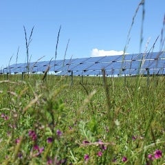 岛屿社区太阳能
