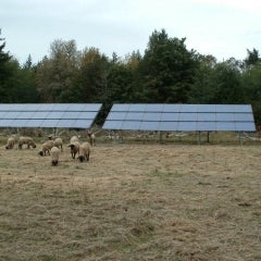 这个太阳能系统产生9200瓦的能量，为鸟群提供庇护